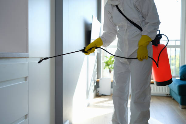 Office Mold Removal Services in Burnettown, SC
