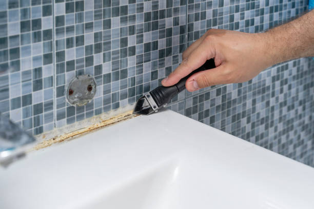 Best Home Mold Removal  in Burnettown, SC